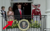 Click image for larger version

Name:	TRUMP (1).gif
Views:	0
Size:	1.06 MB
ID:	1026556