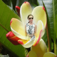 Click image for larger version

Name:	yello bud.gif
Views:	0
Size:	165.1 KB
ID:	1391178