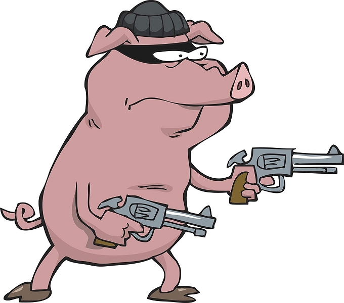 Стреляем свинью. Свинья с пистолетом. Свинья с автоматом. Свинья с ружьем.