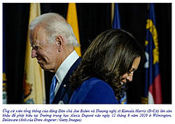 Click image for larger version

Name:	Snap43.jpg
Views:	0
Size:	66.8 KB
ID:	1690065