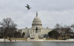 Click image for larger version

Name:	TS-Capitol-101521.jpg
Views:	0
Size:	292.4 KB
ID:	1895687