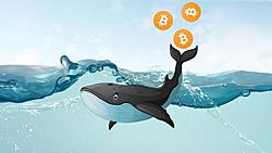 Click image for larger version

Name:	bitcoin_whale_2.jpg
Views:	0
Size:	91.5 KB
ID:	1903807