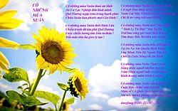 Click image for larger version

Name:	C NHỮNG MA XUN.jpg
Views:	0
Size:	250.1 KB
ID:	2020988