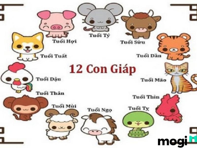Năm nay là năm tuổi con gì? Khám phá ngay ý nghĩa và dự đoán vận mệnh
