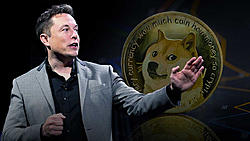 Click image for larger version

Name:	musk1.jpg
Views:	0
Size:	164.8 KB
ID:	2200386