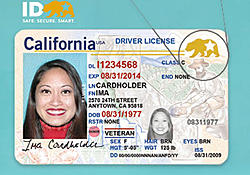 Click image for larger version

Name:	DP-REAL-ID-1.jpg
Views:	0
Size:	165.6 KB
ID:	2322701