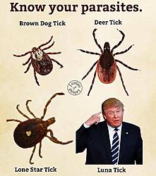 Click image for larger version

Name:	d55.jpg
Views:	0
Size:	56.2 KB
ID:	2430076
