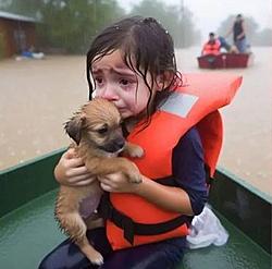 Click image for larger version

Name:	j12.jpg
Views:	0
Size:	32.5 KB
ID:	2434919