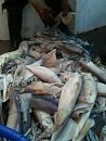 Click image for larger version

Name:	a4_1_2k46kelp2bed4.jpg
Views:	0
Size:	89.0 KB
ID:	716991