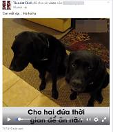 Click image for larger version

Name:	3.jpg
Views:	0
Size:	54.4 KB
ID:	910055