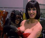 Click image for larger version

Name:	funny-monkey-and-girl001.jpg
Views:	0
Size:	49.0 KB
ID:	915191