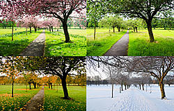 Click image for larger version

Name:	the-four-seasons.jpg
Views:	0
Size:	124.6 KB
ID:	1603466