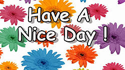 Click image for larger version

Name:	Have a nice day.jpg
Views:	0
Size:	32.3 KB
ID:	1765582
