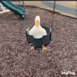 Click image for larger version

Name:	duck.gif
Views:	0
Size:	8.65 MB
ID:	1715083