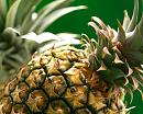 Click image for larger version

Name:	pineapple_0.jpg
Views:	0
Size:	131.8 KB
ID:	668937