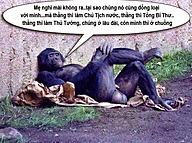 Click image for larger version

Name:	mẹ.jpg
Views:	0
Size:	88.4 KB
ID:	1424433