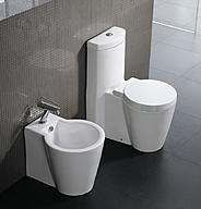 Click image for larger version

Name:	K-56C_Bidet.jpg
Views:	0
Size:	115.8 KB
ID:	1266438