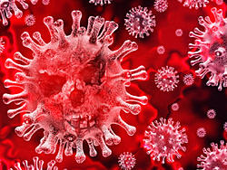 Click image for larger version

Name:	corona-virus-shutterstock_jqit.jpg
Views:	0
Size:	163.4 KB
ID:	1556533