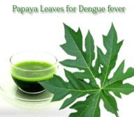 Click image for larger version

Name:	Papaya-Leaves-for-Dengue-fever.gif
Views:	0
Size:	65.4 KB
ID:	1382246