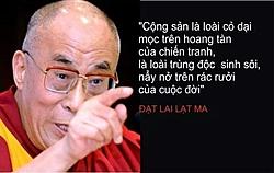 Click image for larger version

Name:	dalai cỏ dại.jpg
Views:	0
Size:	40.3 KB
ID:	1652921