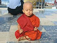 Click image for larger version

Name:	((((((ze-meditation.jpg
Views:	0
Size:	45.6 KB
ID:	1338726