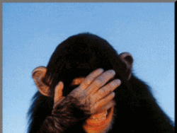 Click image for larger version

Name:	Laughing-chimp-gif-animation.gif
Views:	0
Size:	50.6 KB
ID:	1486161