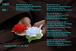 Click image for larger version

Name:	NHỚ MẸ.jpg
Views:	0
Size:	119.5 KB
ID:	2094990