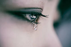 Click image for larger version

Name:	Tear.jpg
Views:	0
Size:	34.0 KB
ID:	1767422