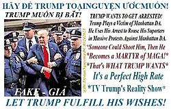 Click image for larger version

Name:	trump-toai-nguyen.jpg
Views:	0
Size:	43.7 KB
ID:	2196535