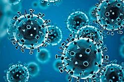 Click image for larger version

Name:	coronavirus-2.tmb-479v.jpg
Views:	0
Size:	39.0 KB
ID:	2069596