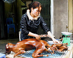 Click image for larger version

Name:	crw_8281_dog_meat.jpg
Views:	0
Size:	147.1 KB
ID:	1655973