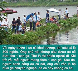 Click image for larger version

Name:	(((trai-cau-ga.jpg
Views:	0
Size:	95.1 KB
ID:	1571193