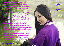 Click image for larger version

Name:	CỎI TNH SẦU.jpg
Views:	0
Size:	199.6 KB
ID:	2032966