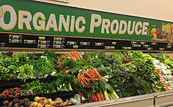 Click image for larger version

Name:	Organic-Produce-in-Grocery-Store-Photo.jpg
Views:	0
Size:	133.4 KB
ID:	2071023