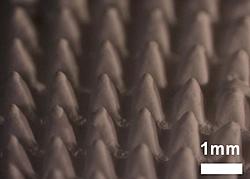 Click image for larger version

Name:	Microneedles-1.jpg
Views:	0
Size:	30.6 KB
ID:	1659169