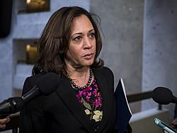 Click image for larger version

Name:	Kamala-640x480.jpg
Views:	0
Size:	43.3 KB
ID:	1827809