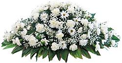Click image for larger version

Name:	funeral-flower-sprays-478x249.jpg
Views:	0
Size:	30.7 KB
ID:	1534637