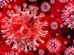 Click image for larger version

Name:	corona-virus-shutterstock_jqit_ptug.jpg
Views:	0
Size:	232.1 KB
ID:	1816154