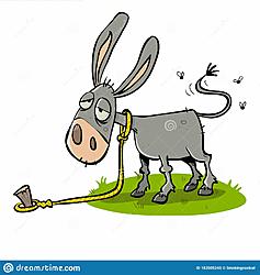Click image for larger version

Name:	stupid-looking-bored-tired-lazy-donkey-stupid-looking-bored-tired-lazy-donkey-tided-rope-1835052.jpg
Views:	0
Size:	138.7 KB
ID:	1989815