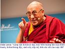 Click image for larger version

Name:	Dalai01.jpg
Views:	0
Size:	30.8 KB
ID:	881958