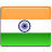 India Flag Icon